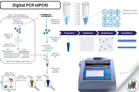 dpcr pnp meaning|PCR Manual 2012 PDF .